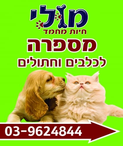 לוגו של מולי חיות מחמד