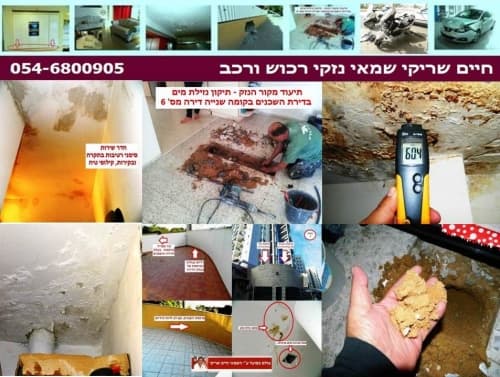 לוגו של שמאי נזקי רכוש ורכב