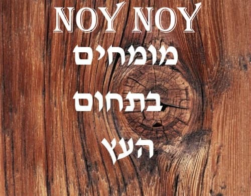 לוגו של נוי נוי