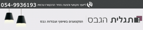 לוגו של תגלית הגבס