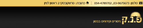 לוגו של פ.נ.ק ניסור בטון