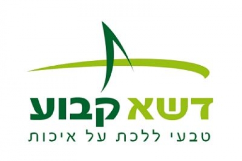 לוגו של דשא קבוע - מרכז ארצי לדשא סינטטי