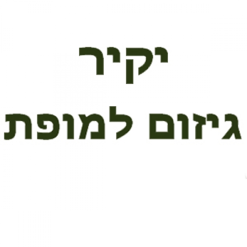 לוגו של יקיר גיזום למופת