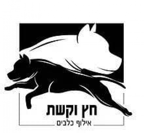 לוגו של חץ וקשת-אילוף כלבים